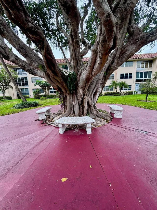 Unit B208 photo 18