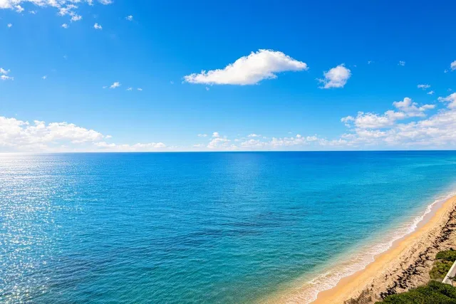 Singer Island Unit 12B photo 38