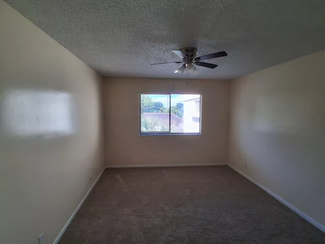Unit 403 photo 15