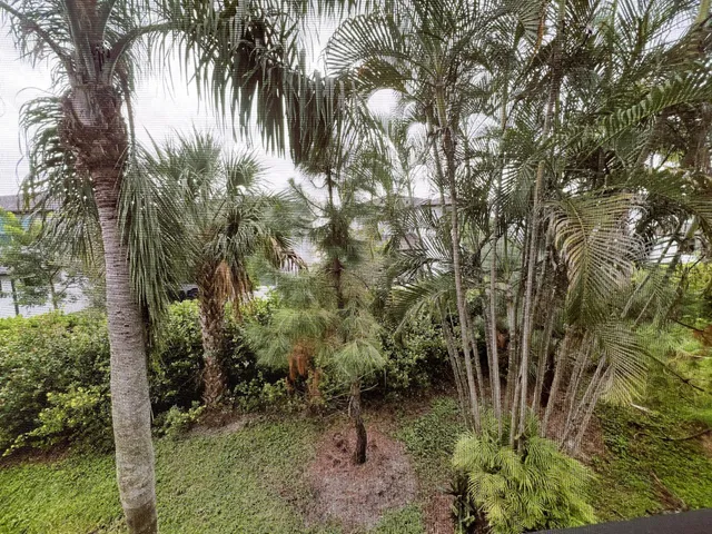 Unit 203 photo 4