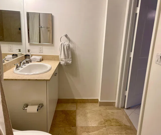  Unit 313s photo 16