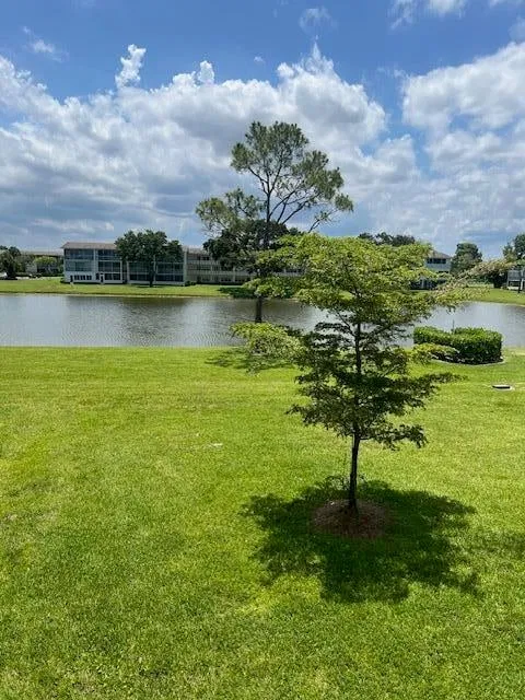 Residence photo 8