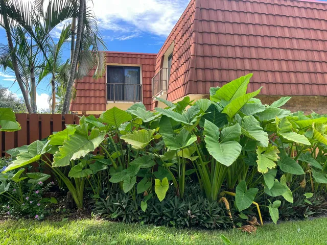 Residence photo 16