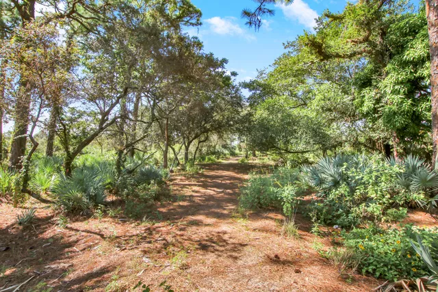 Residence photo 35