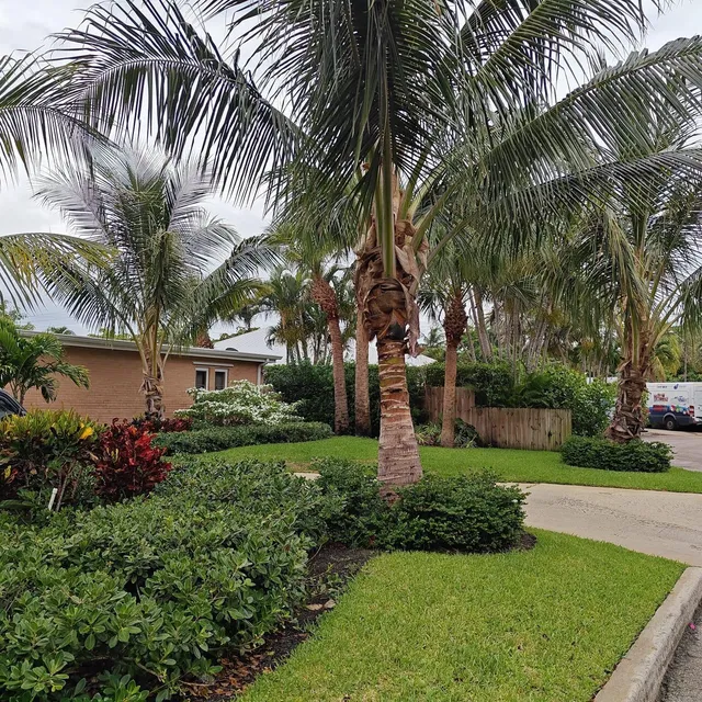 Old Northwood Residence photo 17