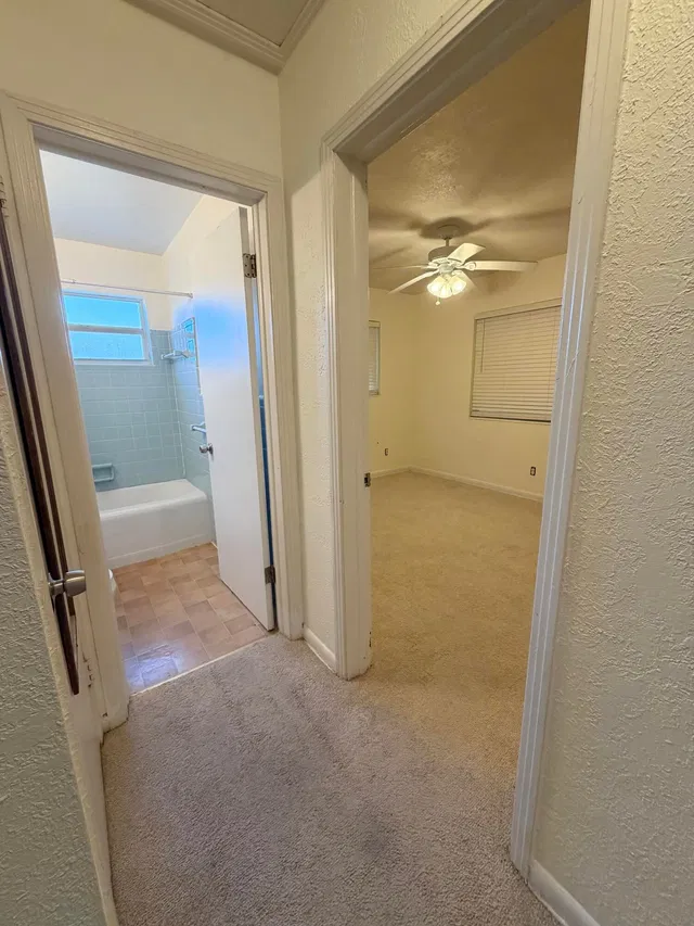Residence photo 8