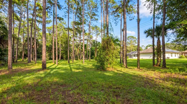 Paddock Park 1 Residence photo 80