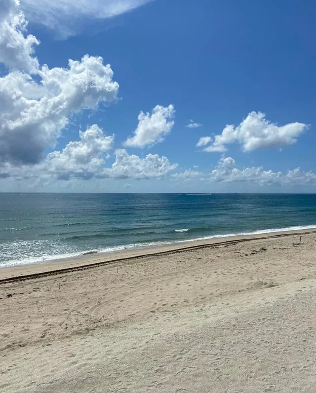 The Patrician of Palm Beach Unit 121 photo 38