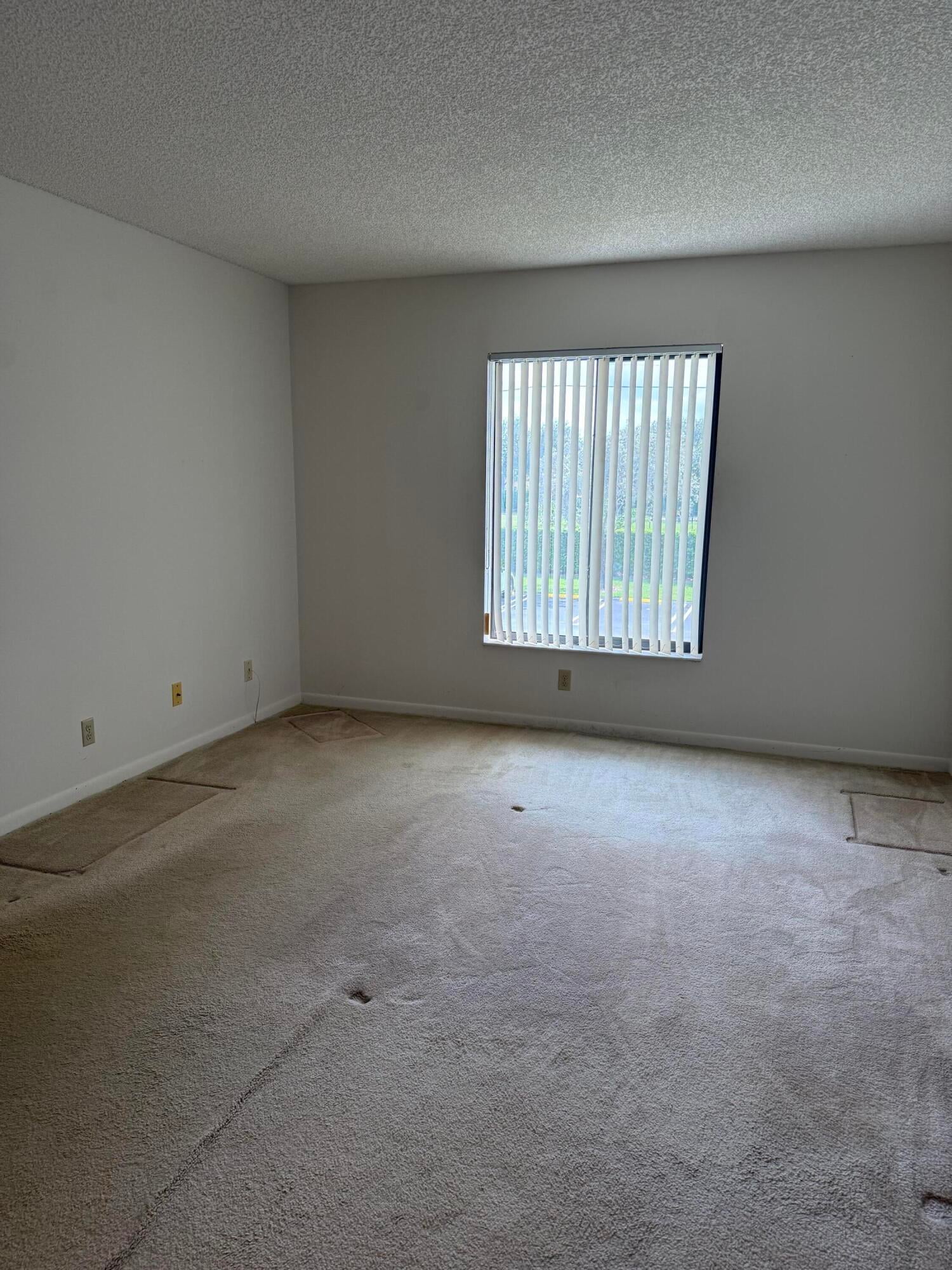 Unit C2 photo 8