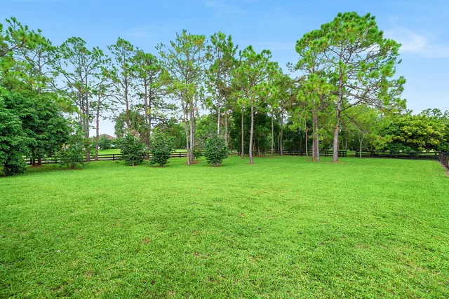 Homeland Residence photo 26