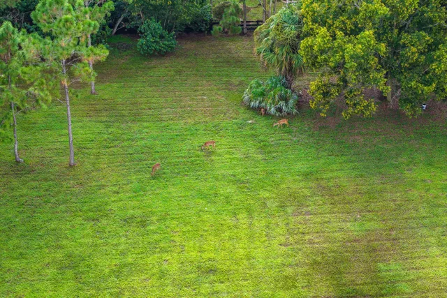 Homeland Residence photo 30