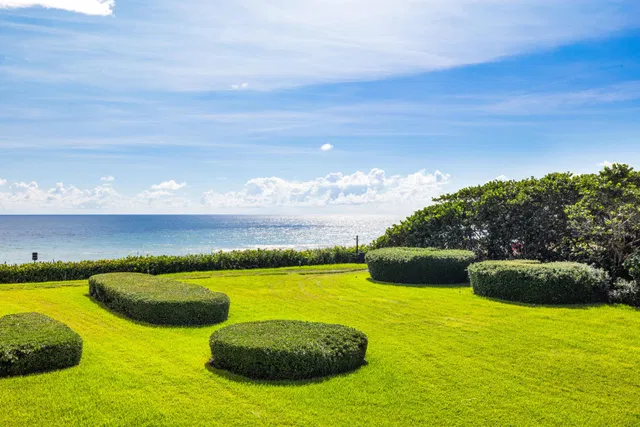 Sloan's Curve Palm Beach Residence photo 22