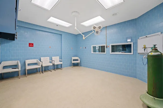 Unit 9 photo 13
