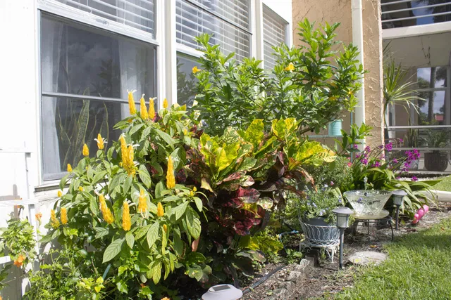 Residence photo 31
