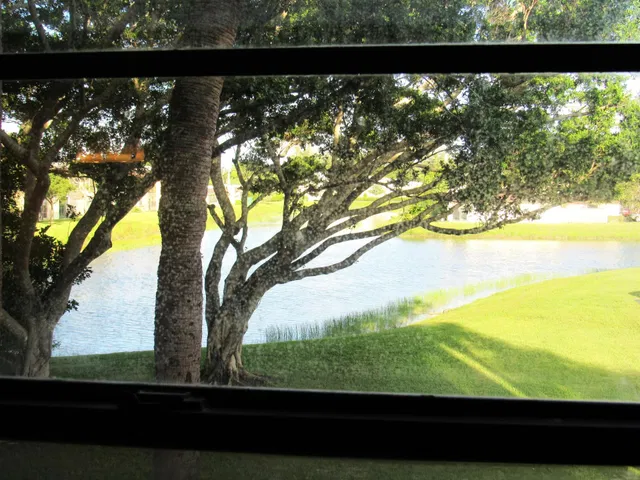 Unit 216 photo 24