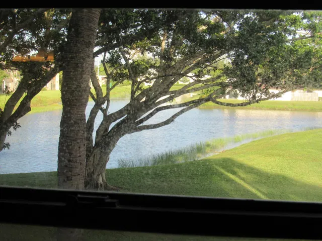 Unit 216 photo 25