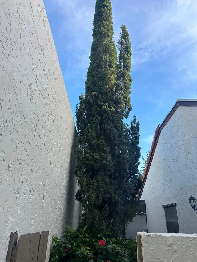  Residence photo 22