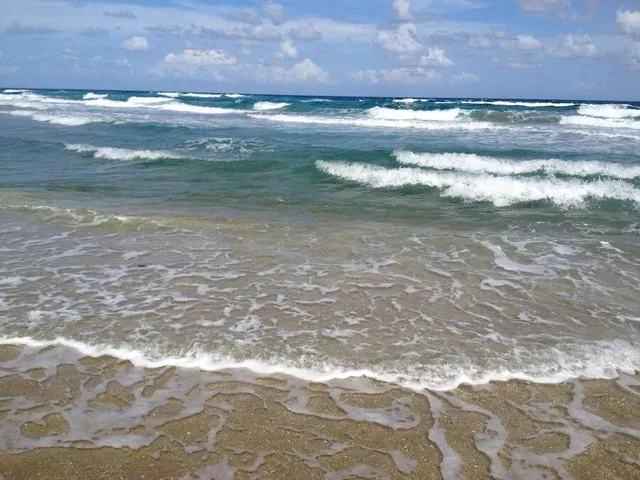 Unit 201 photo 24