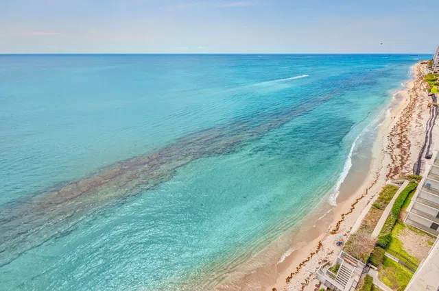 Harbour Point Singer Island Unit 1401 photo 27