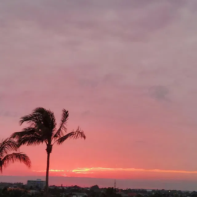 Martinique Singer Island Unit 403 photo 3