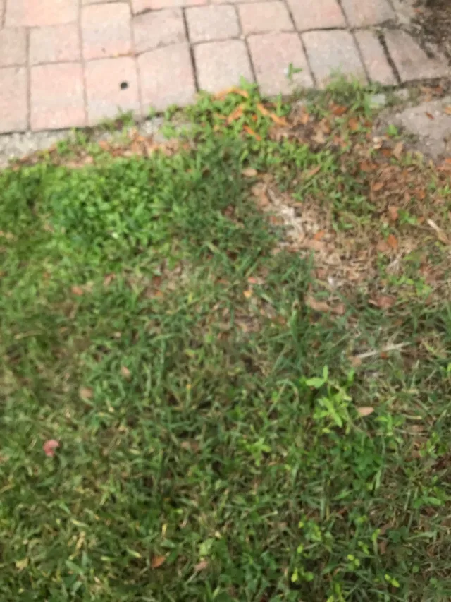Unit 5166 photo 2