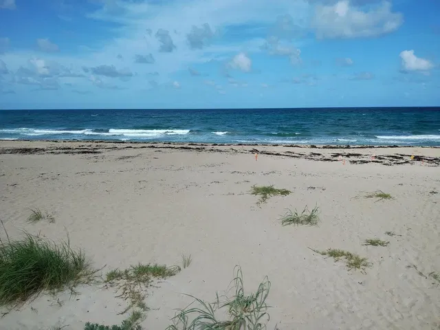 Unit 210 photo 10