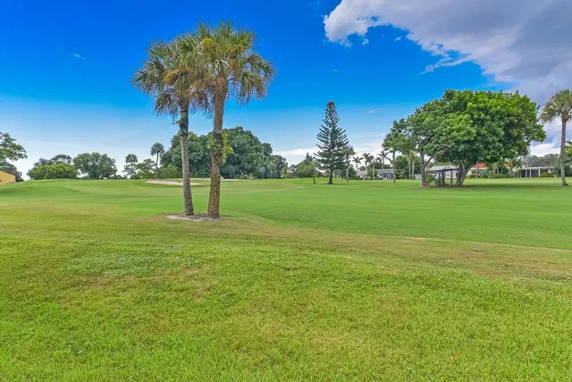 Rocky Point Unit 205 photo 6