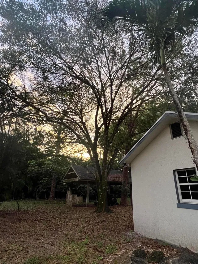 Residence photo 12