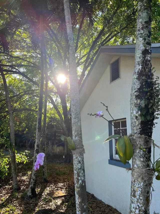 Residence photo 16