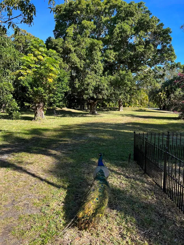Residence photo 25