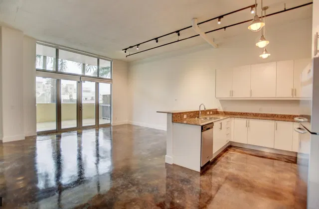 Ocean City Lofts Delray Beach Unit 207 photo 3