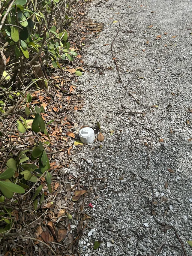 Residence photo 3