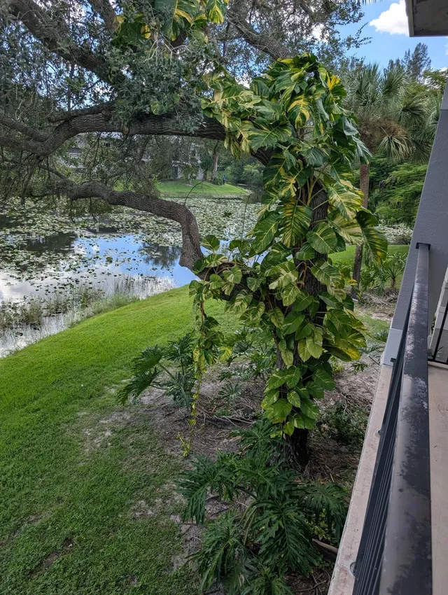 Unit 205 photo 3