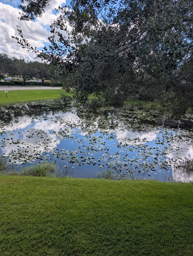 Unit 205 photo 4