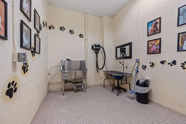  Unit 610 photo 46