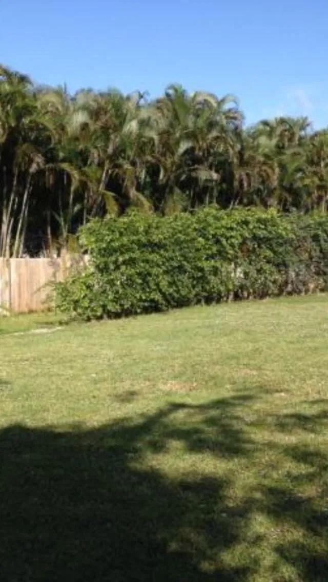  Residence photo 9
