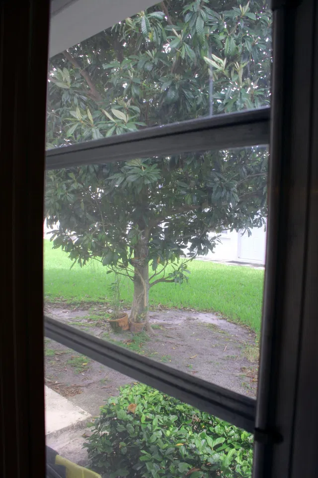  Unit 68 photo 17