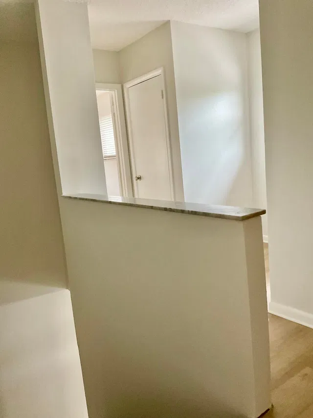 Flamingo Park Unit 1E photo 22