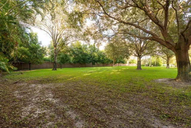 Paddock Park 2 Residence photo 21