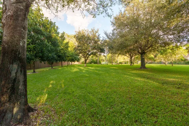 Paddock Park 2 Residence photo 23