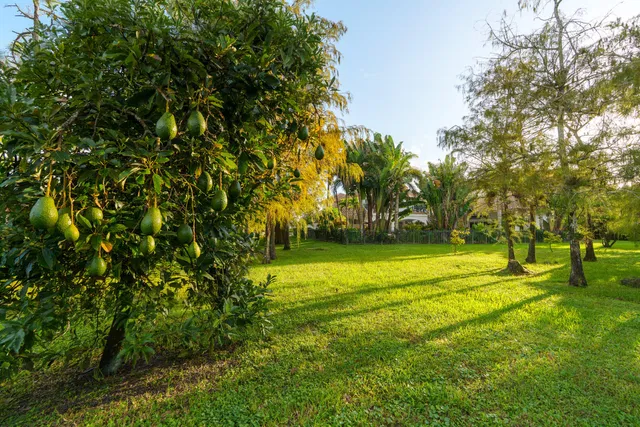 Paddock Park 2 Residence photo 26