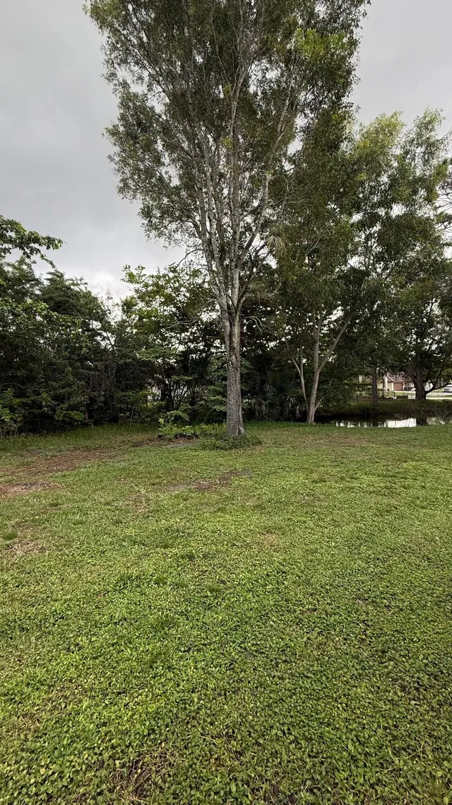 Residence photo 7