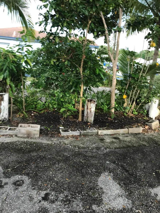 Residence photo 15