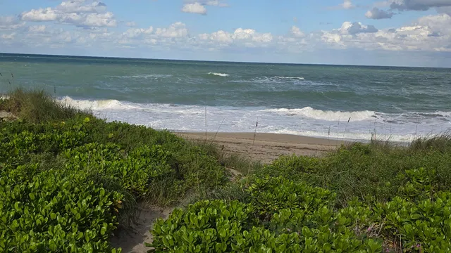 Unit 4006 photo 21