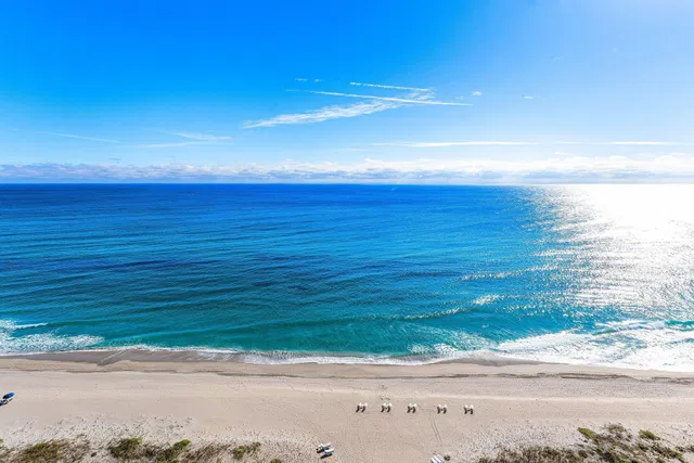 Boca Raton Unit 22C photo 25