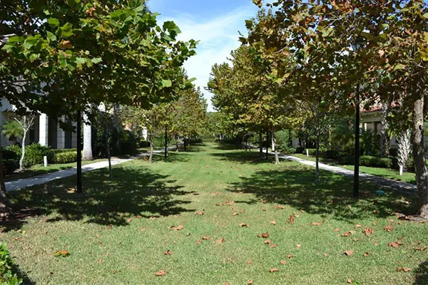 Canterbury Place condos, Florida — photo 3