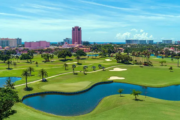 Alina Boca Raton — Residences