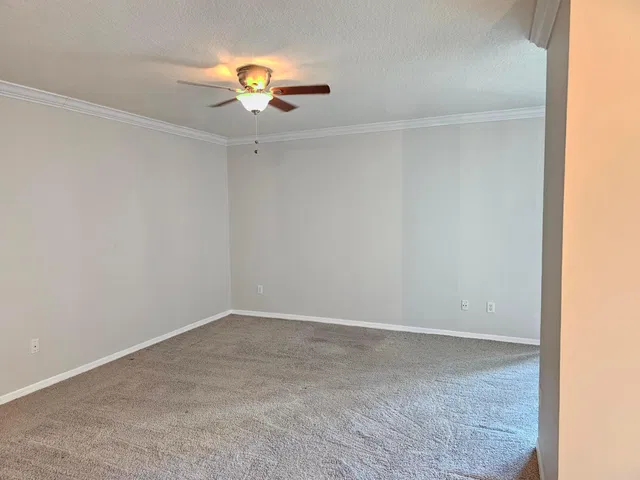 The Prado Unit 350 photo 10
