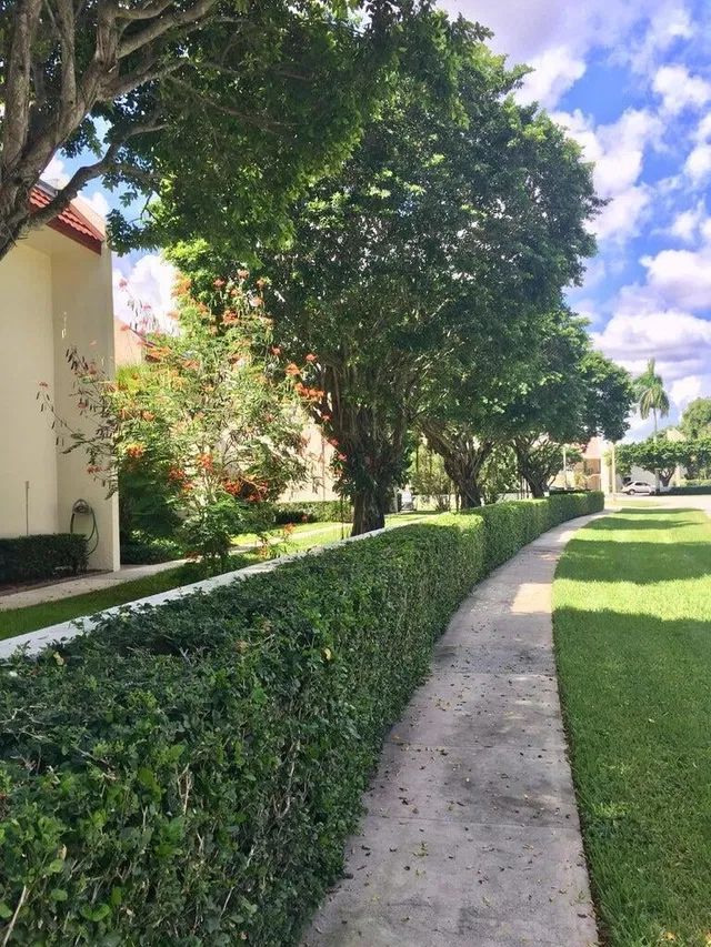 Unit 101 photo 25