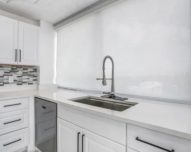 Presidential Towers Unit 806 photo 14